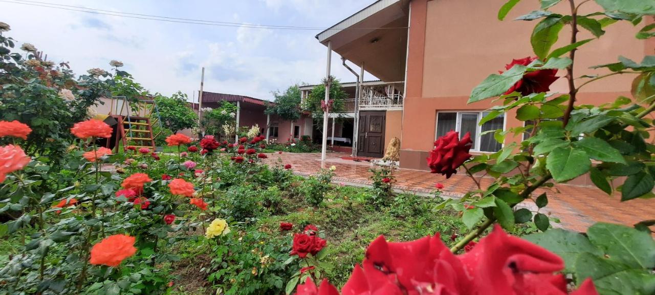 Vip Hostel Turkistan Dış mekan fotoğraf